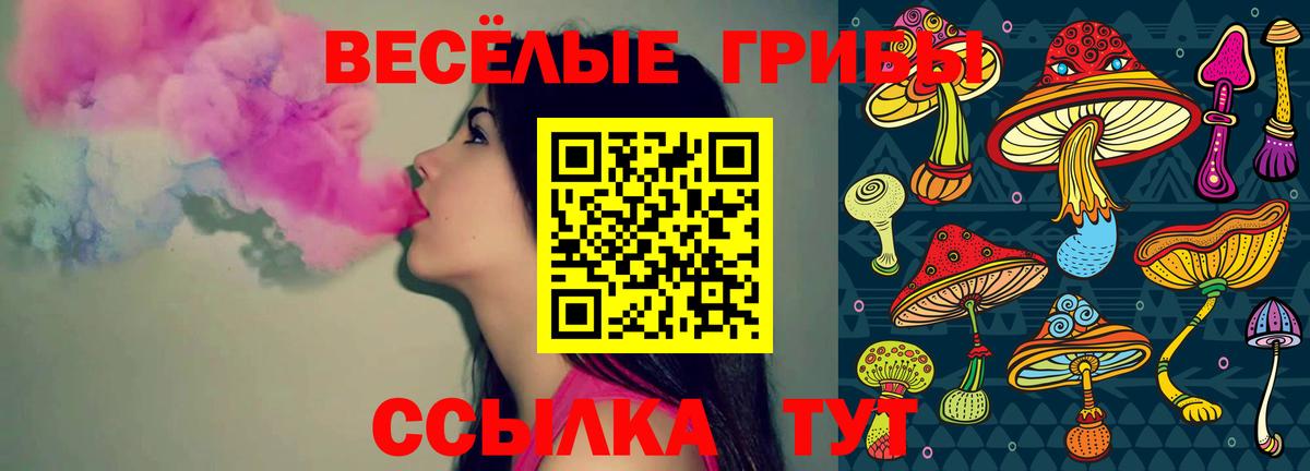 Галлюциногенные грибы Psilocybine cubensis Москва