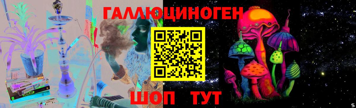 Псилоцибиновые грибы MAGIC MUSHROOMS  цены   Москва  Вход с VPN 
